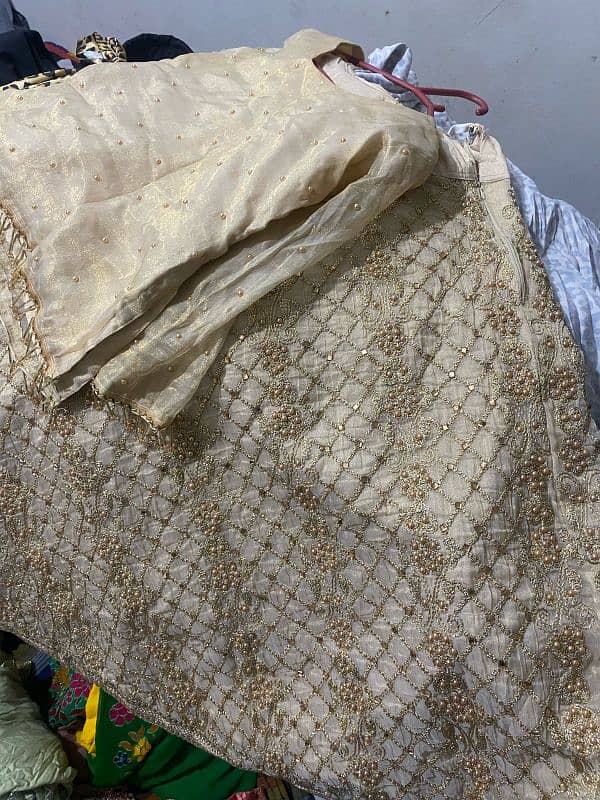 choli sharara medium size aur Large size frocks 5