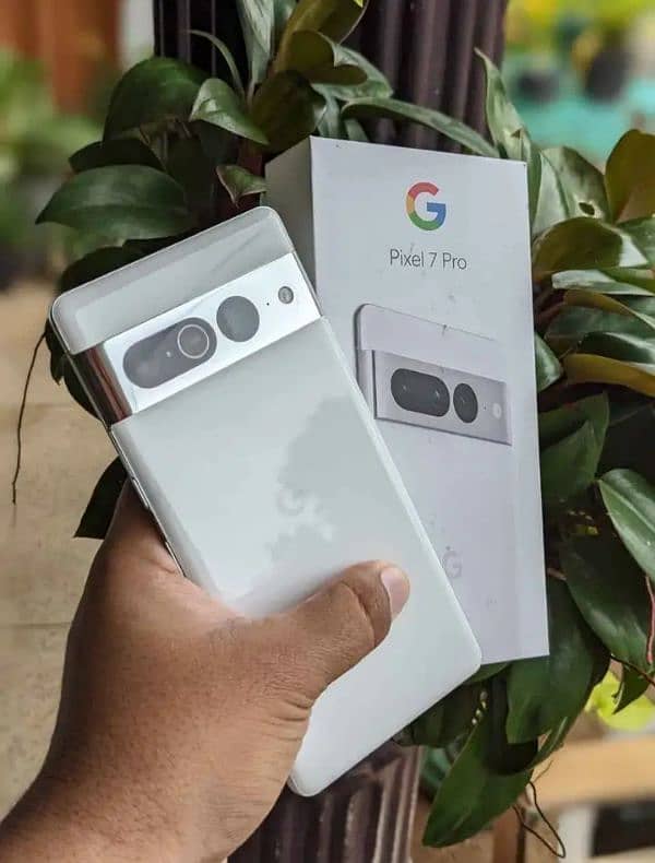 mobile Google pixel complete box urgent sale contact OLX 12/256 0