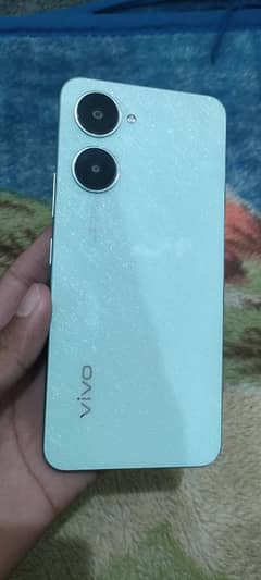 vivo