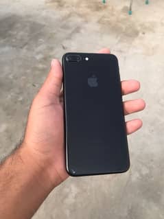 7 plus