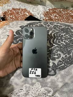 iPhone 12 Pro Max (256GB) PTA Approved