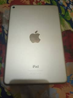 apple iPad