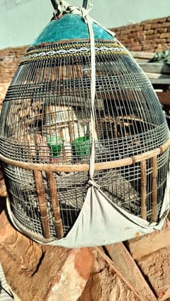 Cage for birds