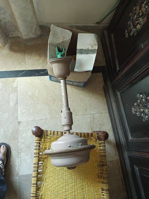 Ceiling Fansand Pedestal Fan selling 3