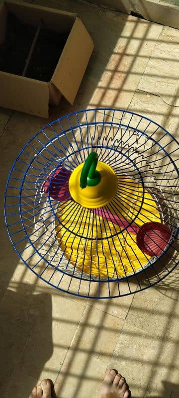 Master round cage for parrot 2