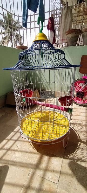 Master round cage for parrot 3