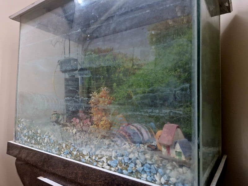 2 by 2.5 ft Fish Aquarium with stand and hood 3