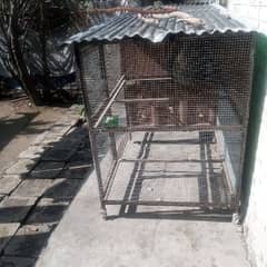 cage for birds