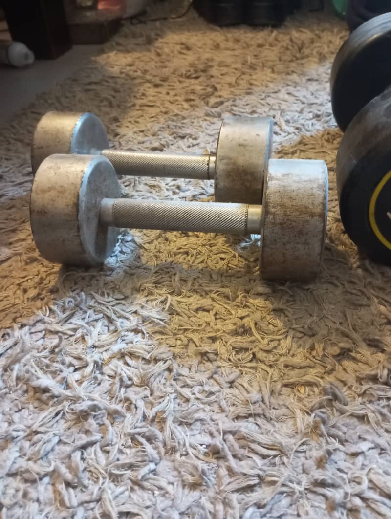 dumbbell 5 & 10 kgs 1