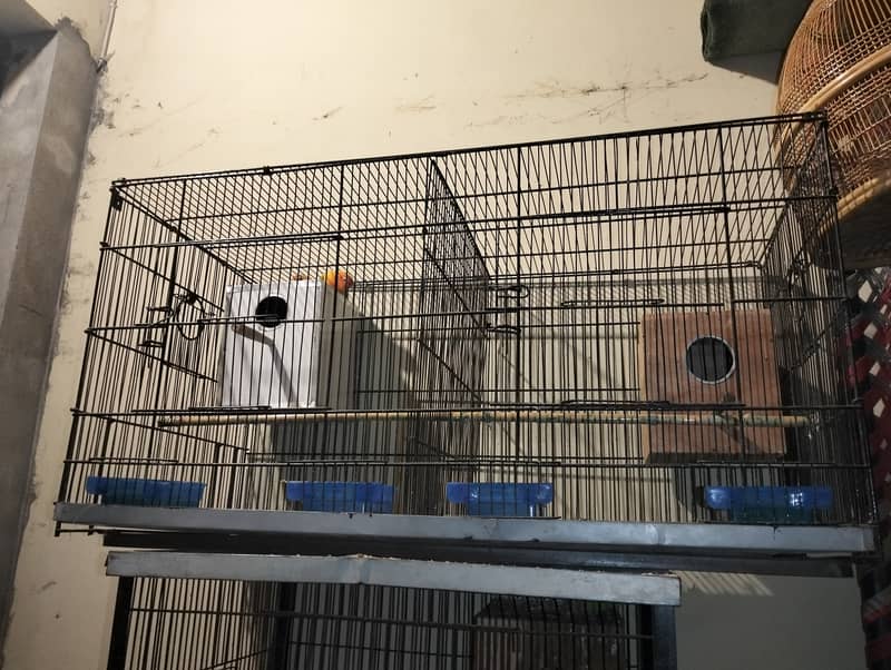 2 cages 2 portion for sale 0