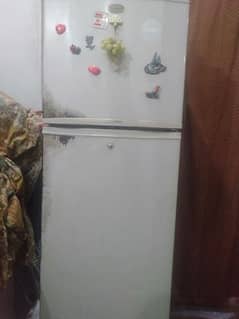 refrigerator