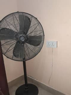 pedestal Fan