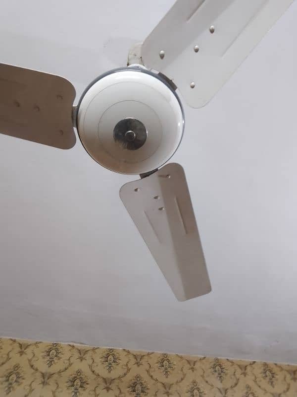 pak fan sonex fan copper fan best Fan used fan celling fan 0