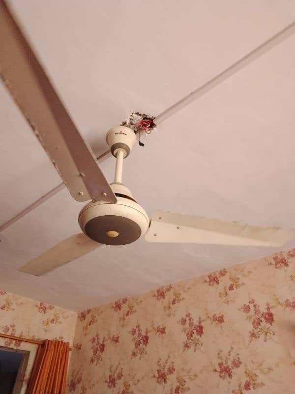 pak fan sonex fan copper fan best Fan used fan celling fan 3