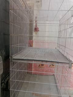 flying and breeding ring nack raw cage