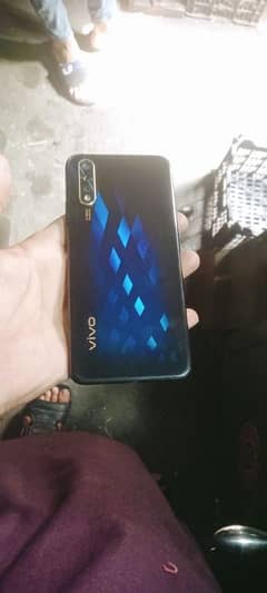 vivo