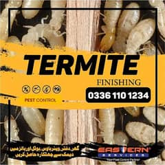 Deemak Control, Termite Control, Dengue Control, Bedbugs & Cockroaces