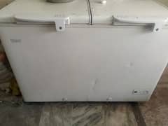 D Freezer 6 month used 6 month warranty