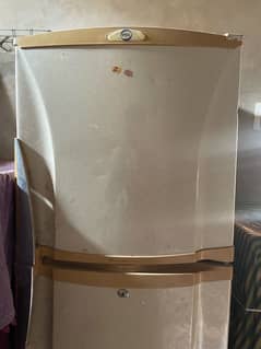 PEL refrigerator