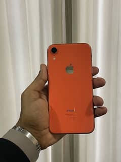 i phone xr  pta approved (128)