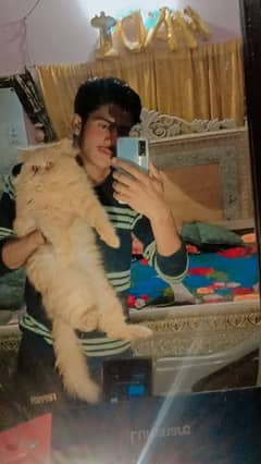 male cat bilkul theek hai number 03262857147