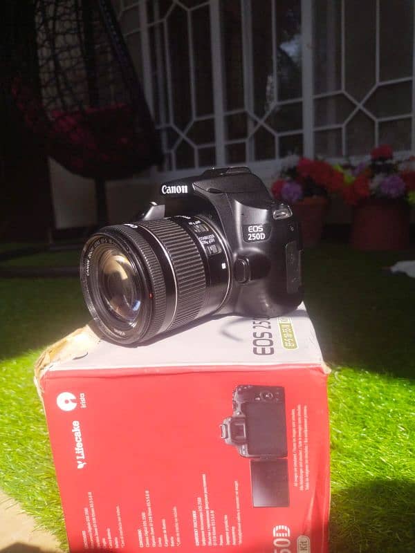 CANON EOD 250D 0