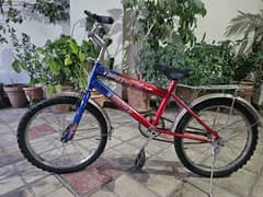 size 19 (kids cycle) - light used