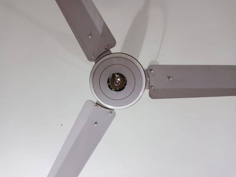 56"  Ceiling FAN 0