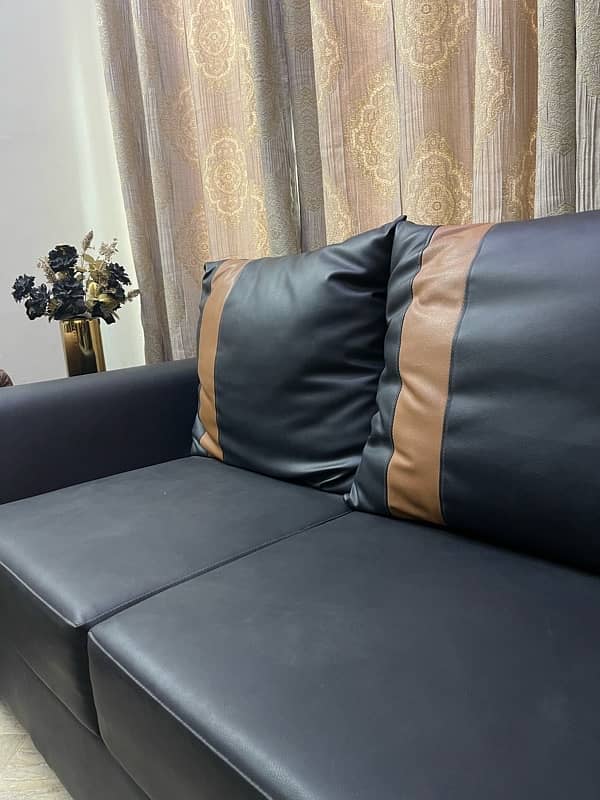 leather Sofa 2 Seater 3