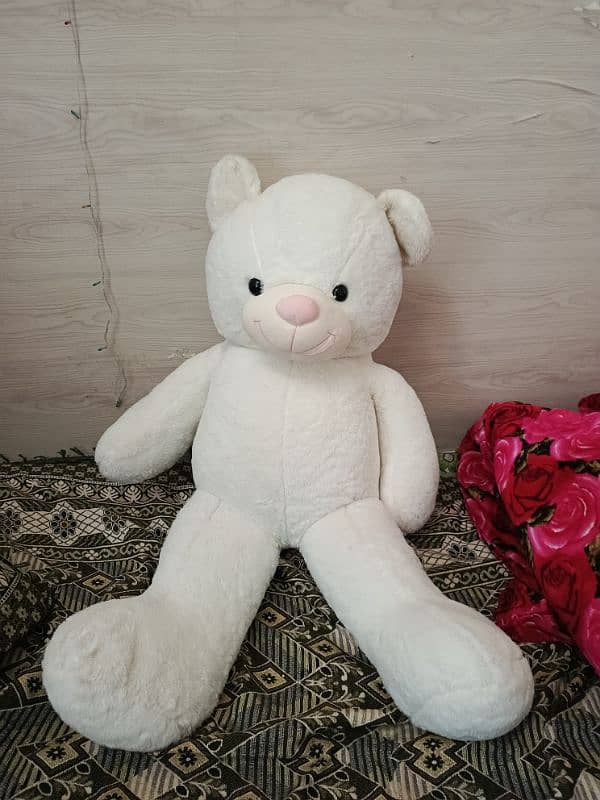 teddy 2