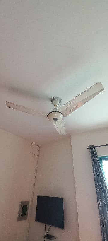 Used Ceiling Fans for Sale Condition 10/10 0