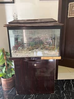 Fish Aquarium 2.5feet