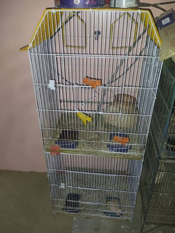 selling birds 3 fisher pair and 2 cages condition 1o by 1o 3