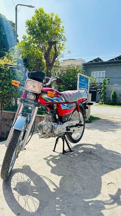 bike in very lush condition