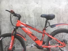 carbon fiber mountain bike 22"