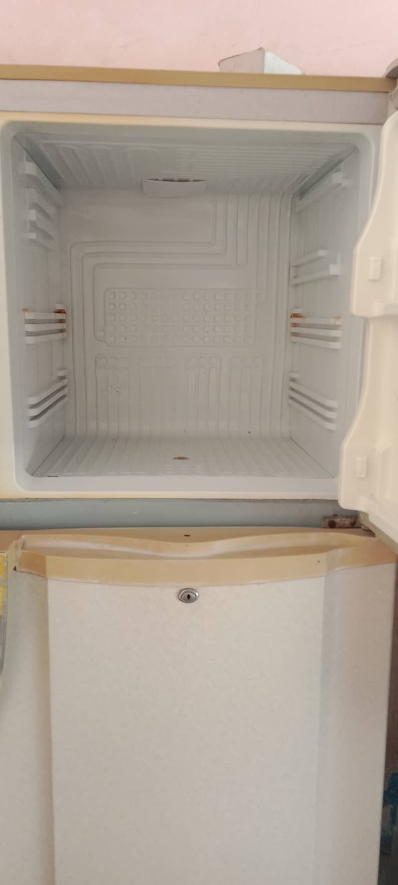 Pell medium size refrigerator for sale 0