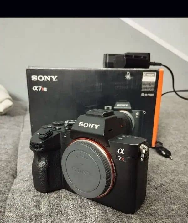 Sony Mirrorless Camera 1