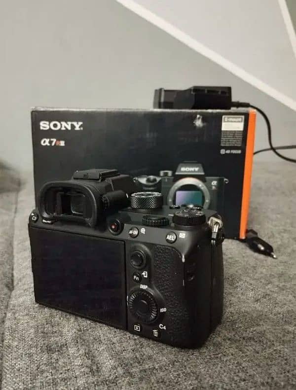 Sony Mirrorless Camera 2