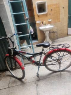 bicycle for sale