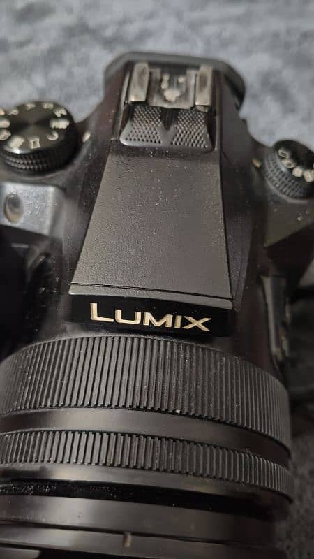 Lumix FZ 2500 3