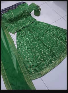 STUNNING GREEN Embroidered lehnga