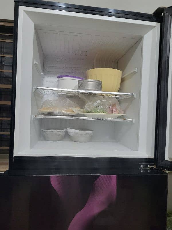 PeL jumbo refrigerator 2