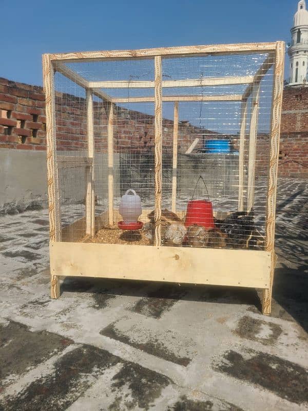 hens and chicks cage for sale 2