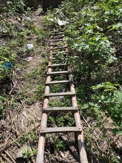 wooden stair for sale for painter and commercial user 32 ft size