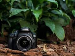 DSLR 4000d urgent sale