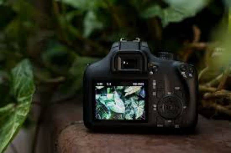 DSLR 4000d urgent sale 1