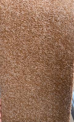 10 by 10 Carpet, Excellent Condition