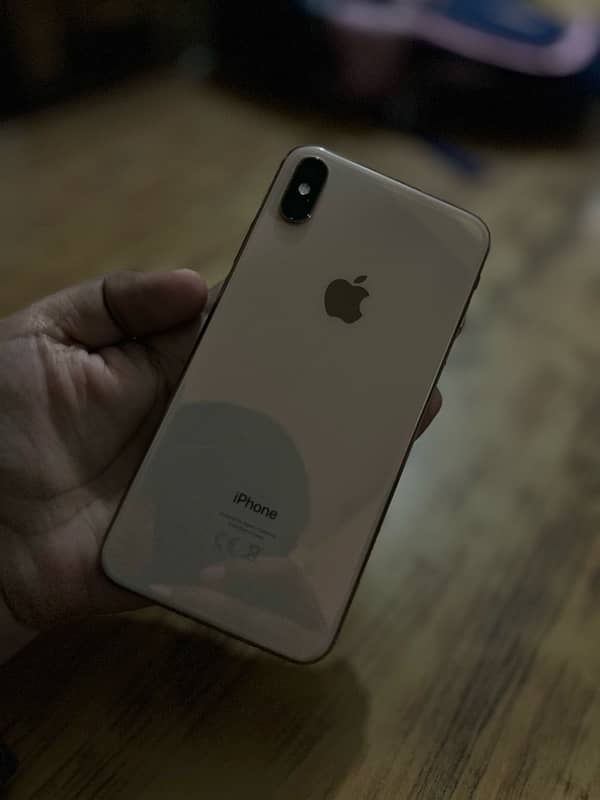 iPhone XS Max 1