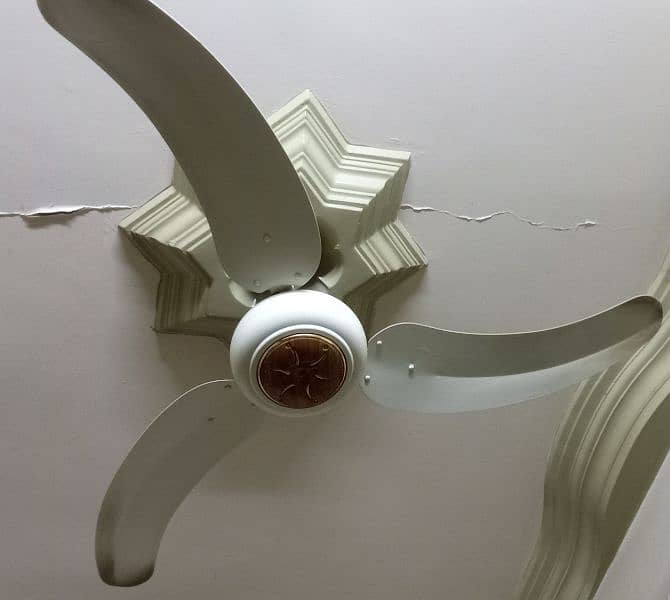 Fancy Fan for sale 0