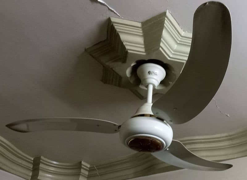 Fancy Fan for sale 2